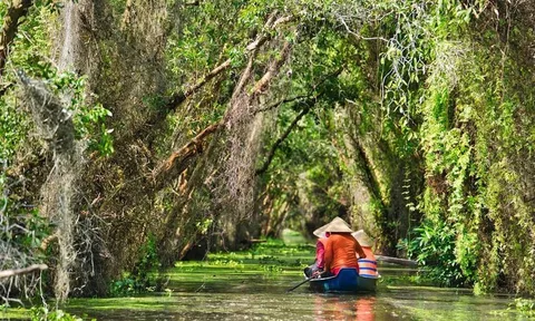 6 địa điểm không thể bỏ lỡ ở miền Tây mùa nước nổi
